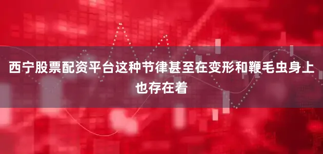 西宁股票配资平台这种节律甚至在变形和鞭毛虫身上也存在着