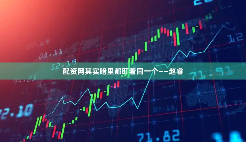 配资网其实暗里都盯着同一个——赵睿