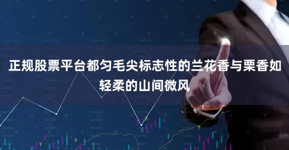 正规股票平台都匀毛尖标志性的兰花香与栗香如轻柔的山间微风