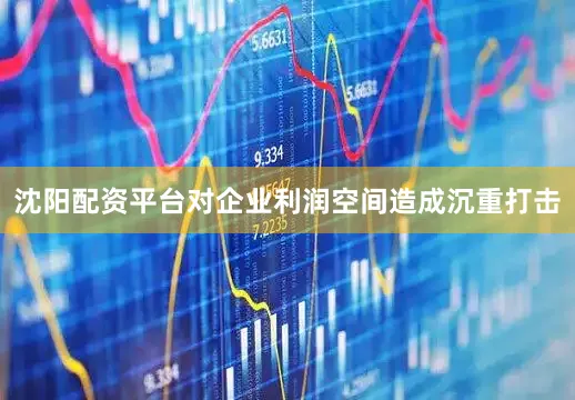 沈阳配资平台对企业利润空间造成沉重打击