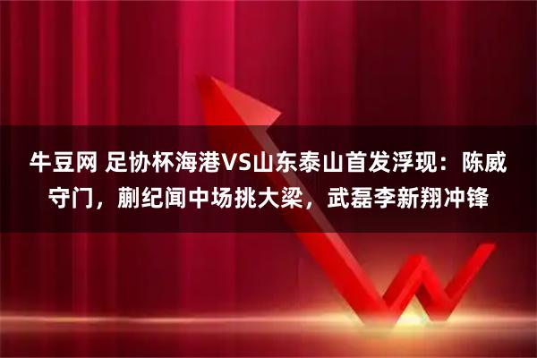 牛豆网 足协杯海港VS山东泰山首发浮现：陈威守门，蒯纪闻中场挑大梁，武磊李新翔冲锋